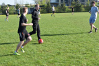 DSC 1004